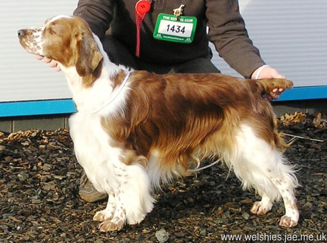 2009-11-14 01.bmp - Sh Ch Arkview Chicago At Llawkrik